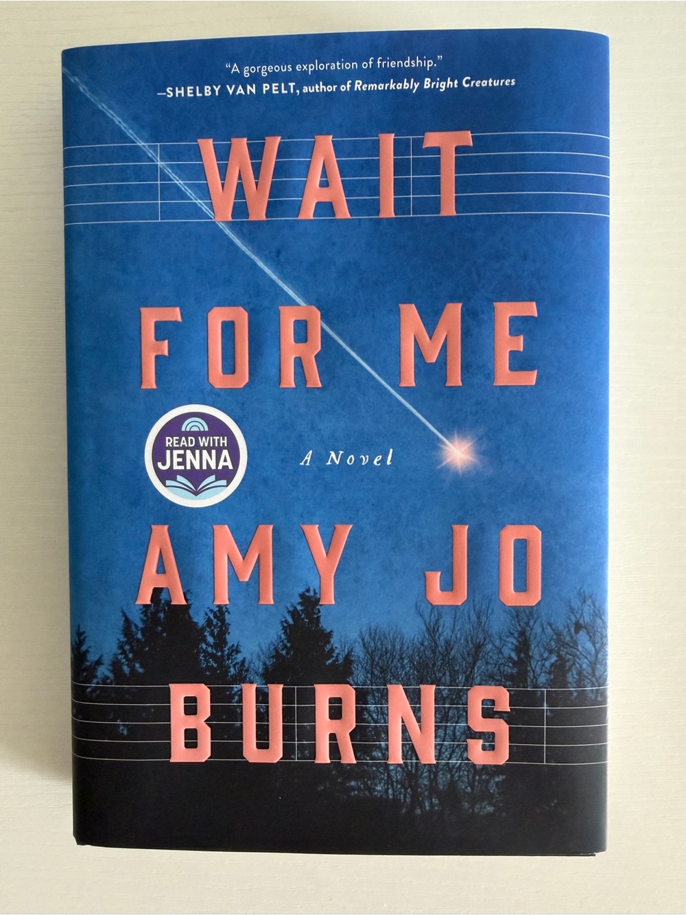 Wait For Me by Amy Jo Burns - Blue & Coral Hardcover Novel